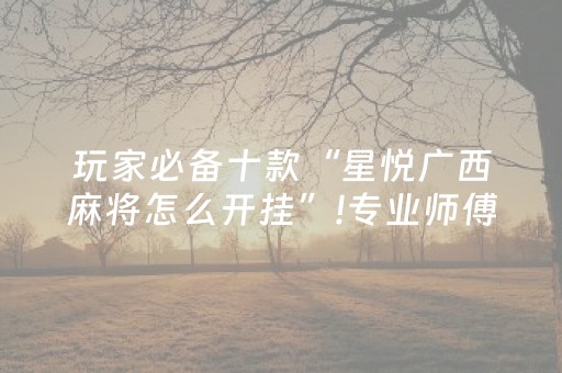 玩家必备十款“星悦广西麻将怎么开挂”!专业师傅带你一起了解（详细教程）-知乎