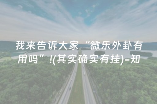 我来告诉大家“微乐外卦有用吗”!(其实确实有挂)-知乎