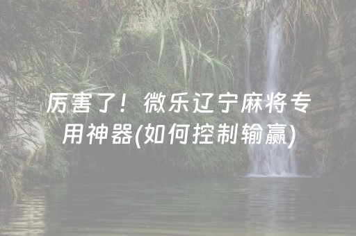厉害了！微乐辽宁麻将专用神器(如何控制输赢)