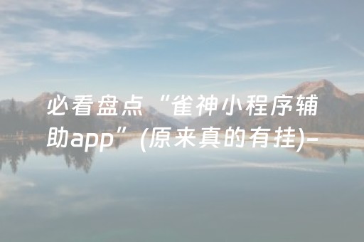 必看盘点“雀神小程序辅助app”(原来真的有挂)-知乎