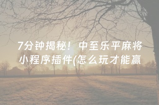 7分钟揭秘！中至乐平麻将小程序插件(怎么玩才能赢)