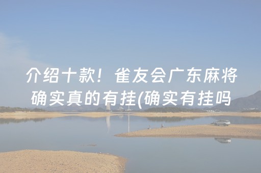 介绍十款！雀友会广东麻将确实真的有挂(确实有挂吗)