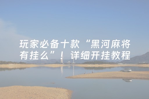 玩家必备十款“黑河麻将有挂么”！详细开挂教程（确实真的有挂)-知乎
