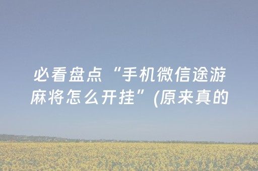 必看盘点“手机微信途游麻将怎么开挂”(原来真的有挂)-知乎