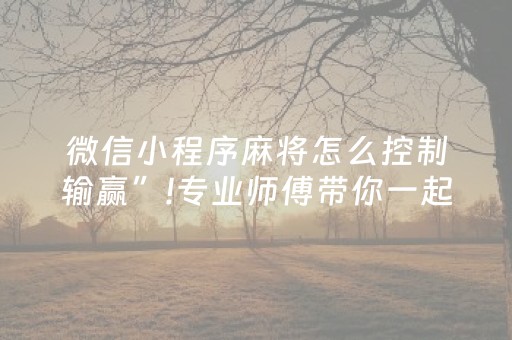 微信小程序麻将怎么控制输赢”!专业师傅带你一起了解（详细教程）-知乎