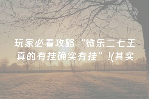 玩家必看攻略“微乐二七王真的有挂确实有挂”!(其实确实有挂)-知乎