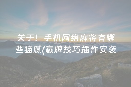 关于！手机网络麻将有哪些猫腻(赢牌技巧插件安装)