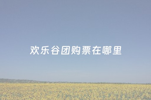 欢乐谷团购票在哪里（欢乐谷年票团购）