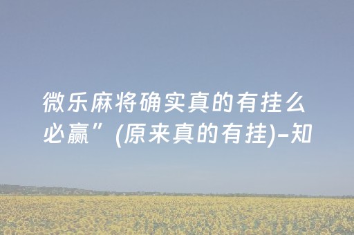 微乐麻将确实真的有挂么 必赢”(原来真的有挂)-知乎