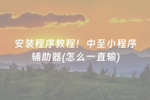 安装程序教程！中至小程序辅助器(怎么一直输)