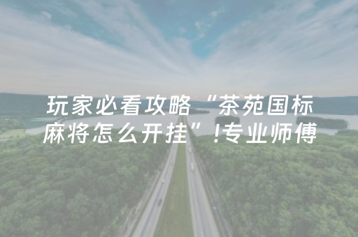玩家必看攻略“茶苑国标麻将怎么开挂”!专业师傅带你一起了解（详细教程）-知乎