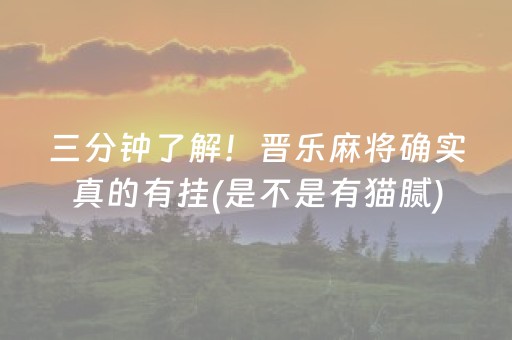 三分钟了解！晋乐麻将确实真的有挂(是不是有猫腻)