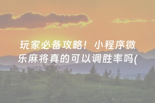 玩家必备攻略！小程序微乐麻将真的可以调胜率吗(老是输为什么)