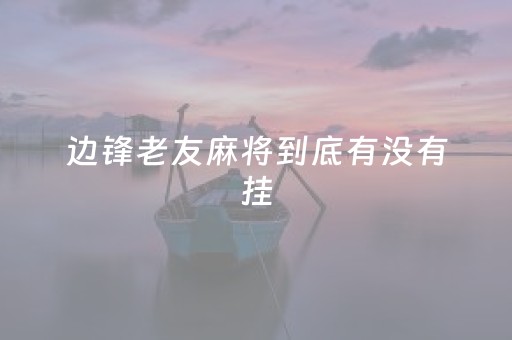 边锋老友麻将到底有没有挂（边锋老友麻将怎么换头像）