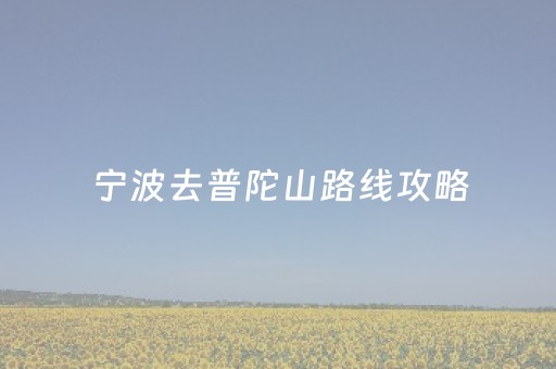 宁波去普陀山路线攻略（去普陀山不能穿黑色和白色吗）