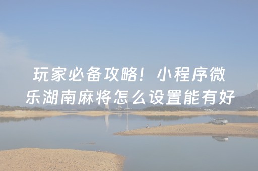 玩家必备攻略！小程序微乐湖南麻将怎么设置能有好牌(怎么设置能有好牌)