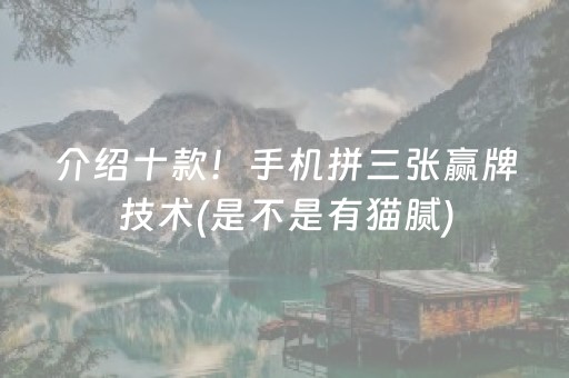 介绍十款！手机拼三张赢牌技术(是不是有猫腻)
