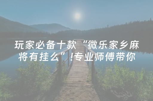 玩家必备十款“微乐家乡麻将有挂么”!专业师傅带你一起了解（详细教程）-知乎