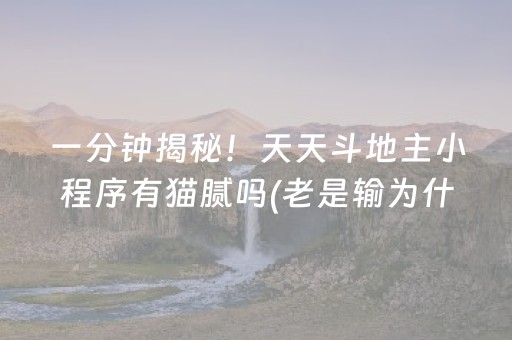 一分钟揭秘！天天斗地主小程序有猫腻吗(老是输为什么)