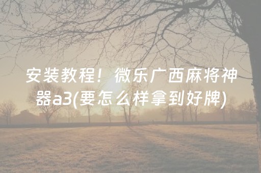 安装教程！微乐广西麻将神器a3(要怎么样拿到好牌)