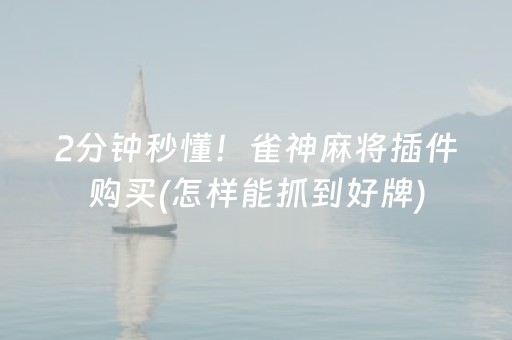 2分钟秒懂！雀神麻将插件购买(怎样能抓到好牌)