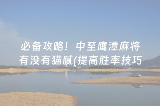 必备攻略！中至鹰潭麻将有没有猫腻(提高胜率技巧)
