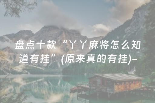 盘点十款“丫丫麻将怎么知道有挂”(原来真的有挂)-知乎