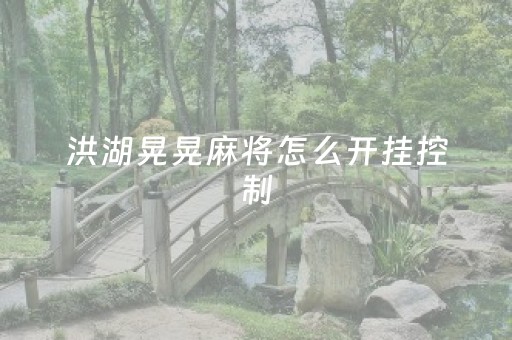 洪湖晃晃麻将怎么开挂控制（洪湖麻将怎么打）