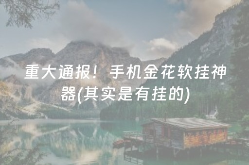 重大通报！手机金花软挂神器(其实是有挂的)