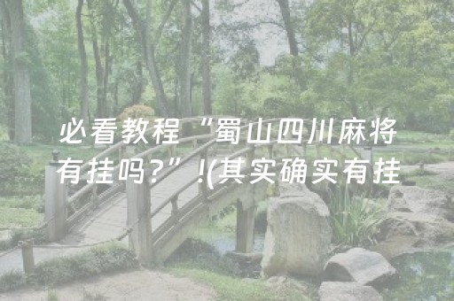 必看教程“蜀山四川麻将有挂吗?”!(其实确实有挂)-知乎