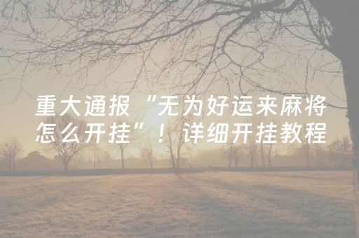 重大通报“无为好运来麻将怎么开挂”！详细开挂教程（确实真的有挂)-知乎