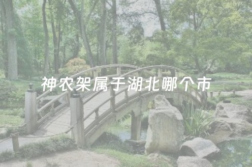 神农架属于湖北哪个市（神农架在哪个市）