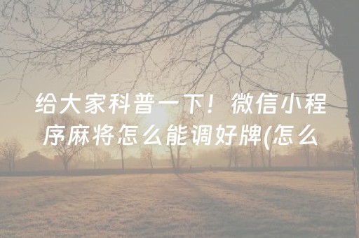 给大家科普一下！微信小程序麻将怎么能调好牌(怎么玩赢几率大)