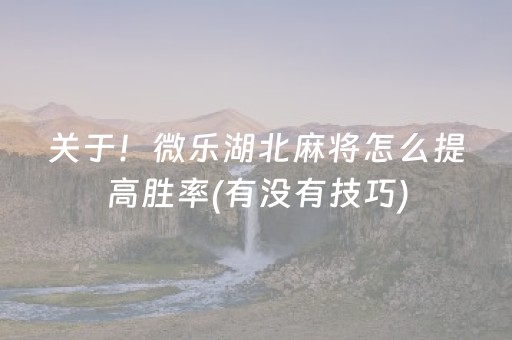 关于！微乐湖北麻将怎么提高胜率(有没有技巧)