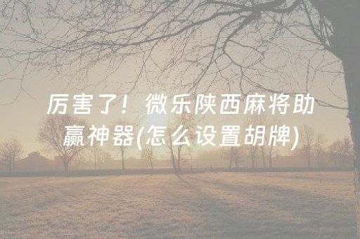 厉害了！微乐陕西麻将助赢神器(怎么设置胡牌)