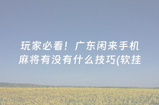 玩家必看！广东闲来手机麻将有没有什么技巧(软挂神器)