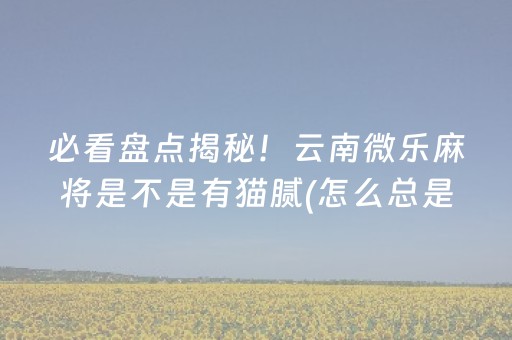 必看盘点揭秘！云南微乐麻将是不是有猫腻(怎么总是输)