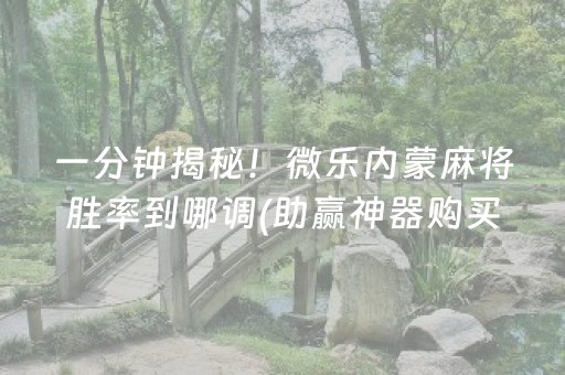 一分钟揭秘！微乐内蒙麻将胜率到哪调(助赢神器购买)