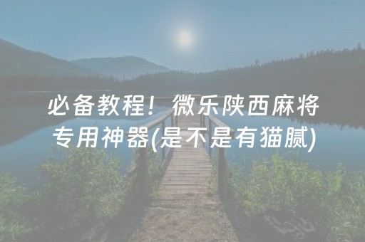 必备教程！微乐陕西麻将专用神器(是不是有猫腻)