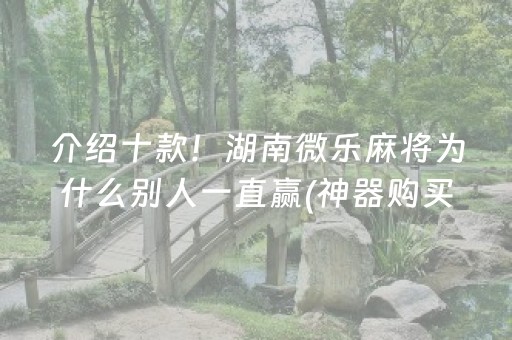 介绍十款！湖南微乐麻将为什么别人一直赢(神器购买好牌规律)
