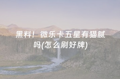 黑料！微乐卡五星有猫腻吗(怎么刷好牌)