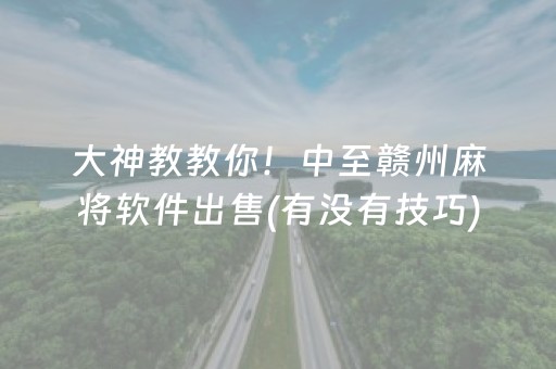 大神教教你！中至赣州麻将软件出售(有没有技巧)
