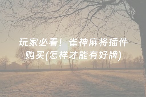 玩家必看！雀神麻将插件购买(怎样才能有好牌)