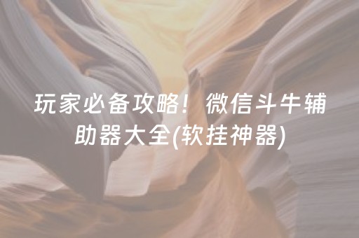 玩家必备攻略！微信斗牛辅助器大全(软挂神器)