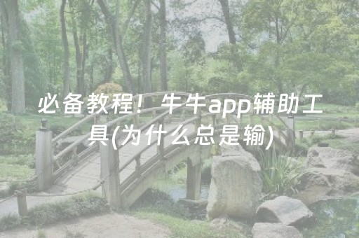 必备教程！牛牛app辅助工具(为什么总是输)