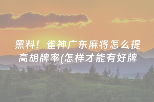 黑料！雀神广东麻将怎么提高胡牌率(怎样才能有好牌)