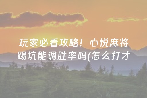 玩家必看攻略！心悦麻将踢坑能调胜率吗(怎么打才会赢)