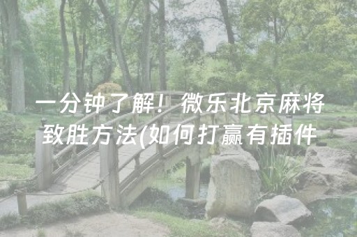 一分钟了解！微乐北京麻将致胜方法(如何打赢有插件吗)