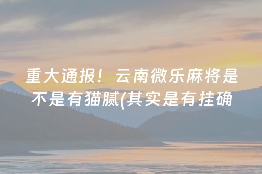 重大通报！云南微乐麻将是不是有猫腻(其实是有挂确实有挂)
