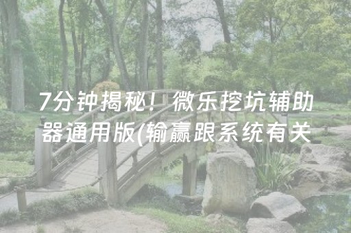 7分钟揭秘！微乐挖坑辅助器通用版(输赢跟系统有关系吗)